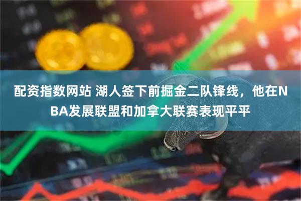 配资指数网站 湖人签下前掘金二队锋线，他在NBA发展联盟和加拿大联赛表现平平