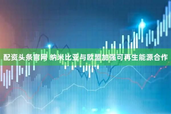 配资头条官网 纳米比亚与欧盟加强可再生能源合作